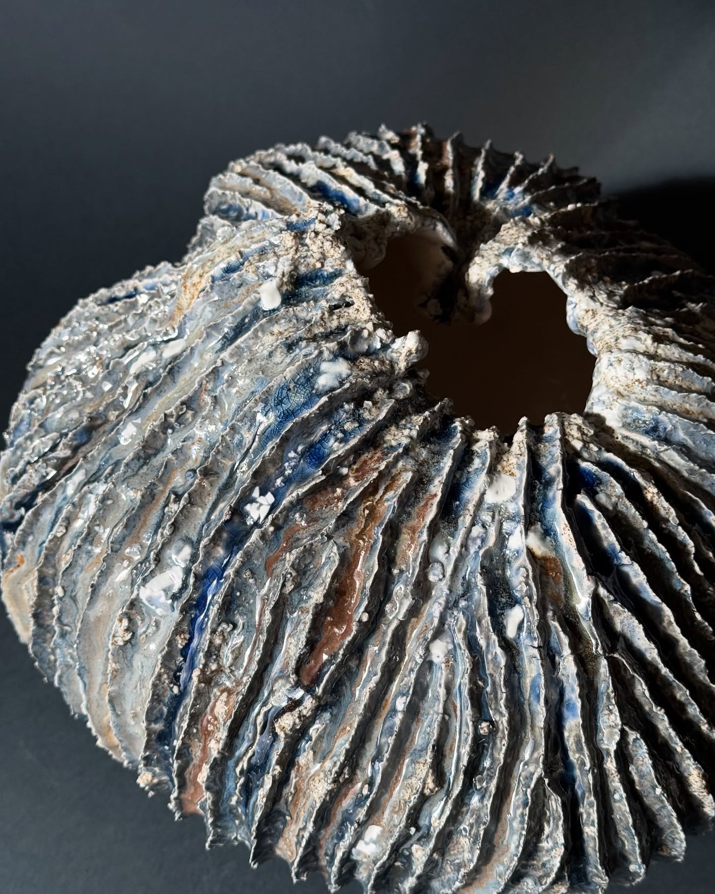 484014531_18048756422587116_7969391071916945122_n